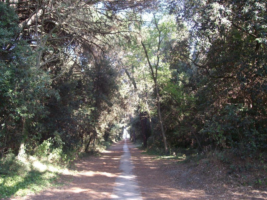 Agenzia Vear - Lido Di Volano Extérieur photo